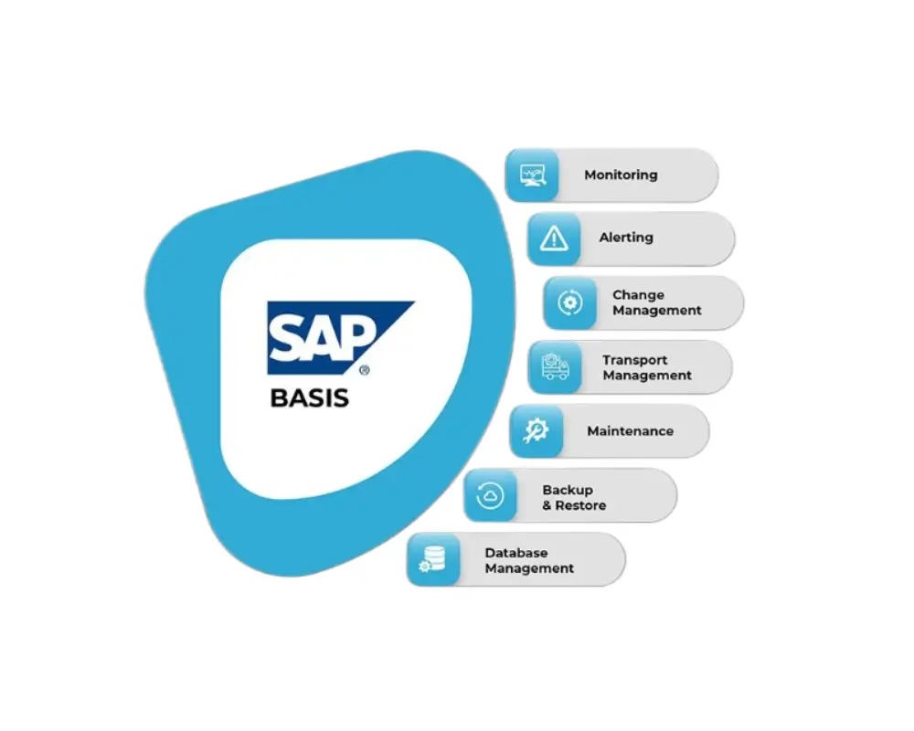 SAP Basis Services in pune